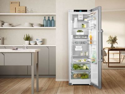 Toezicht houden Portier Zeg opzij Vrijstaande kastmodel koelkasten | Liebherr